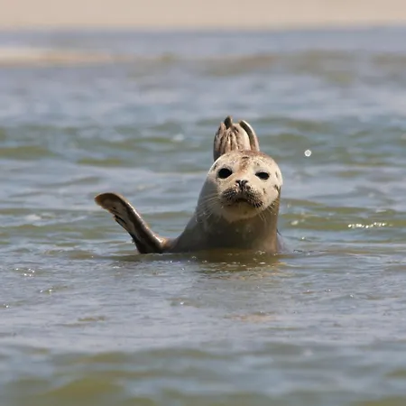 Le Jean Bart Front De * Le Crotoy