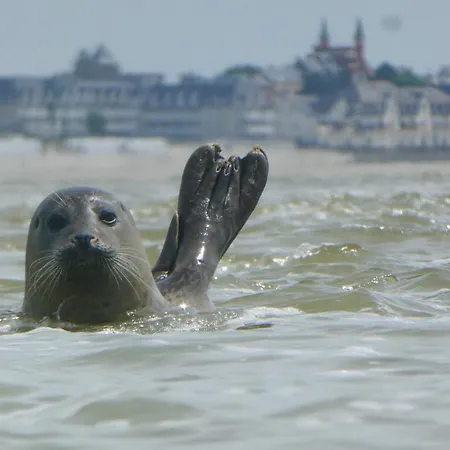 Appartamento Le Jean Bart Front De Le Crotoy