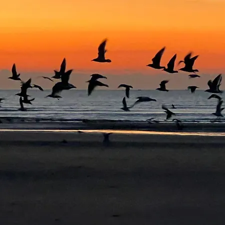 Le Jean Bart Front De شقة لو كْروتْوَ