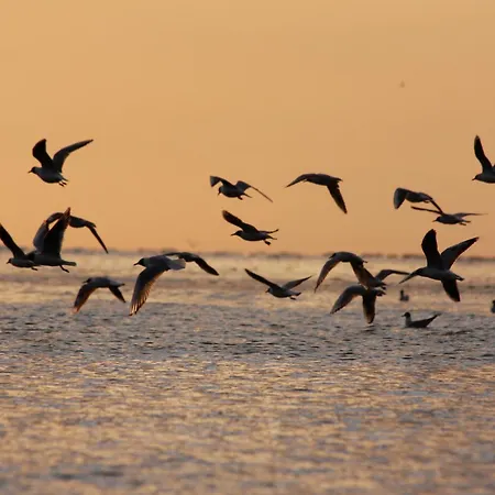 Le Jean Bart Front De شقة *